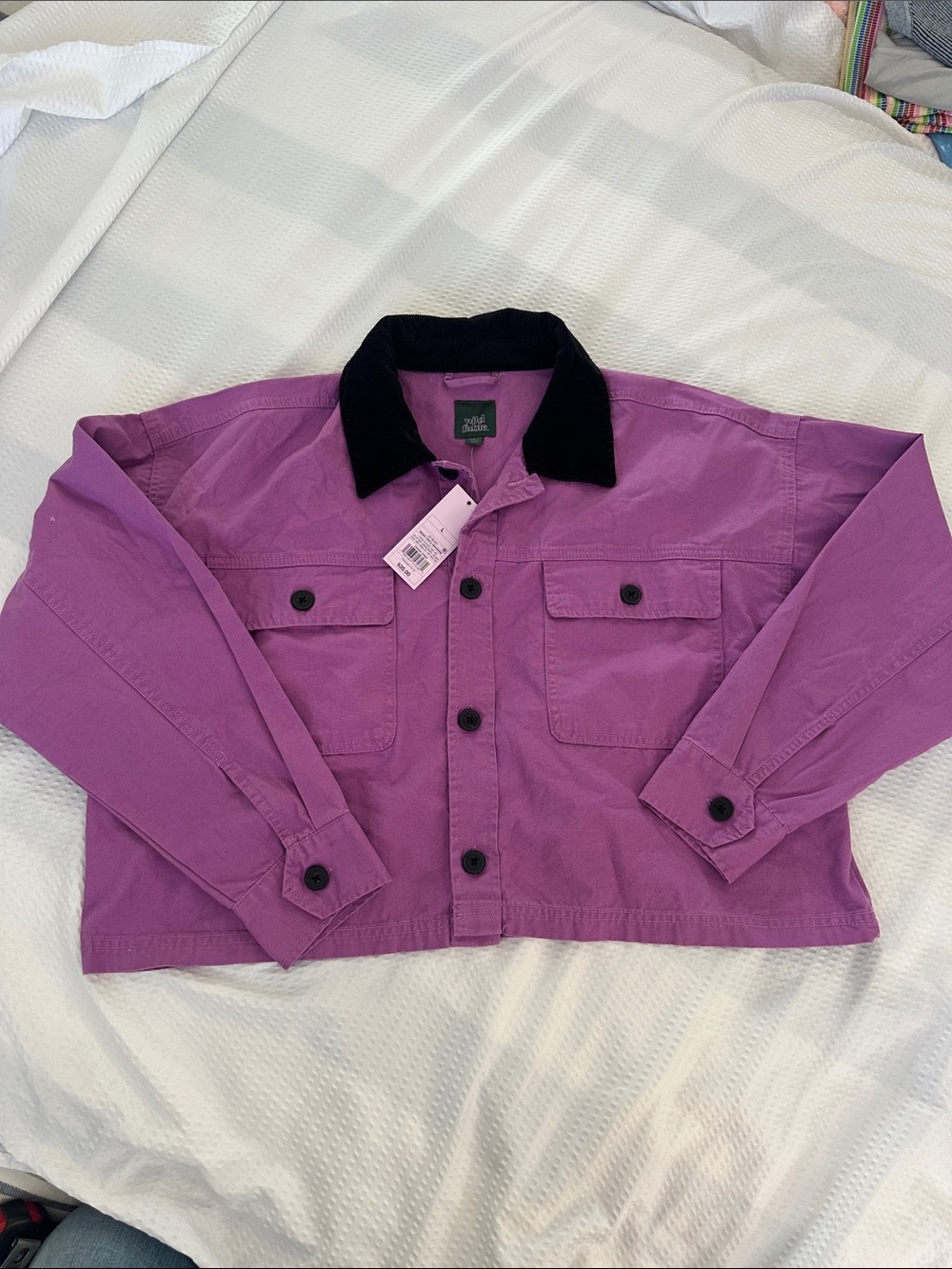 wild fable Purple Jacket with Black Collar